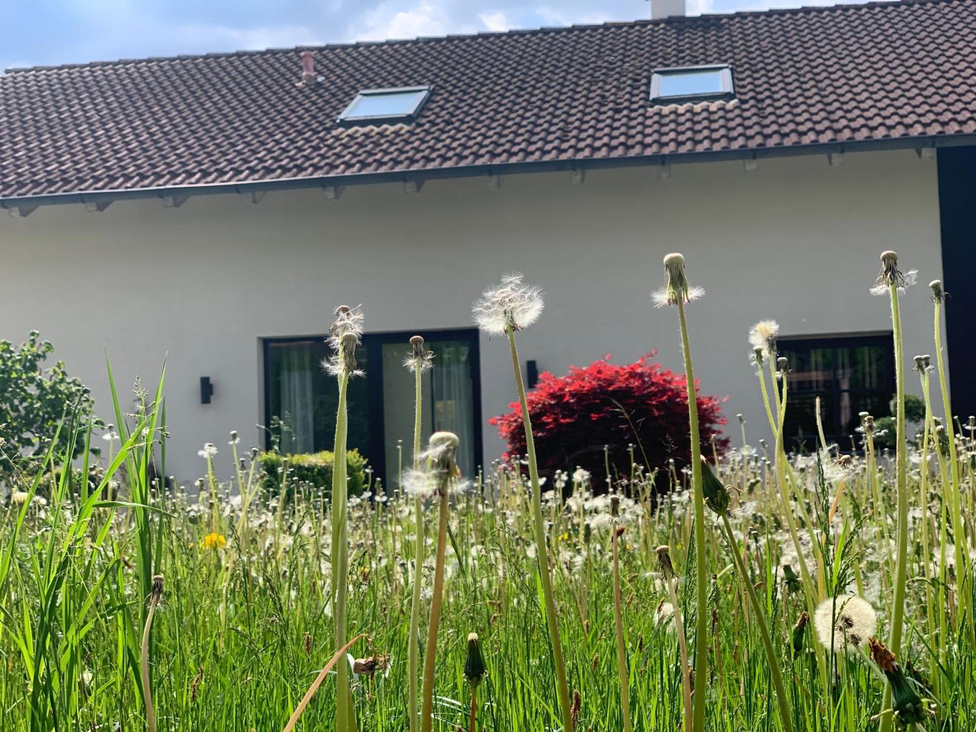 Appartement Kammblick Grobming Exteriör bild